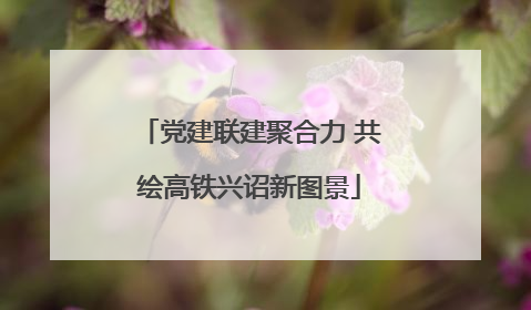 党建联建聚合力 共绘高铁兴诏新图景