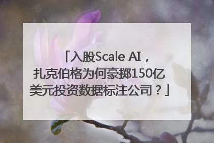 入股Scale AI，扎克伯格为何豪掷150亿美元投资数据标注公司？
