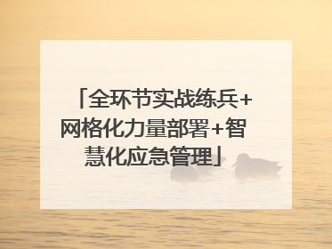 全环节实战练兵+网格化力量部署+智慧化应急管理