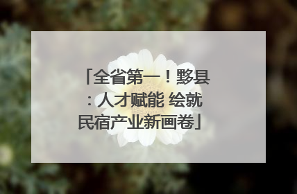 全省第一！黟县：人才赋能 绘就民宿产业新画卷
