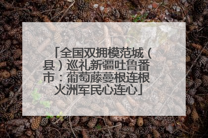 全国双拥模范城（县）巡礼新疆吐鲁番市：葡萄藤蔓根连根 火洲军民心连心