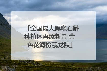 全国最大黑喉石斛种植区再添新景 金色花海扮靓龙陵