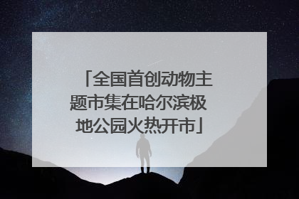 全国首创动物主题市集在哈尔滨极地公园火热开市