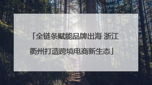 全链条赋能品牌出海 浙江衢州打造跨境电商新生态