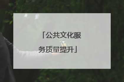 公共文化服务质量提升