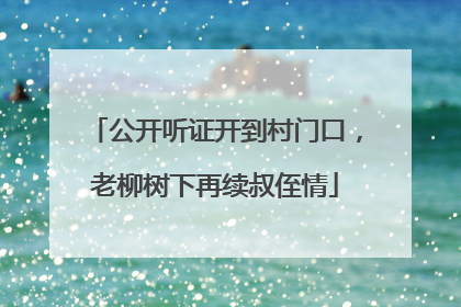 公开听证开到村门口，老柳树下再续叔侄情