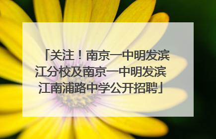 关注！南京一中明发滨江分校及南京一中明发滨江南浦路中学公开招聘