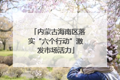 内蒙古海南区落实“六个行动”激发市场活力