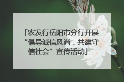 农发行岳阳市分行开展“倡导诚信风尚，共建守信社会”宣传活动