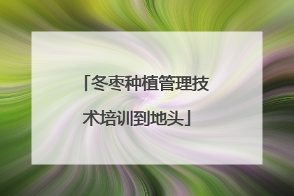 冬枣种植管理技术培训到地头