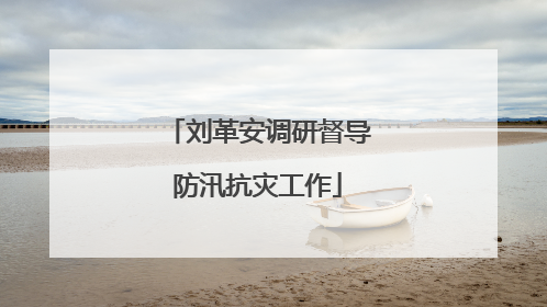 刘革安调研督导防汛抗灾工作