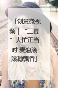 创意微视频｜“三夏”大忙正当时 麦浪滚滚穗飘香