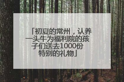 初夏的常州，认养一头牛为福利院的孩子们送去1000份特别的礼物
