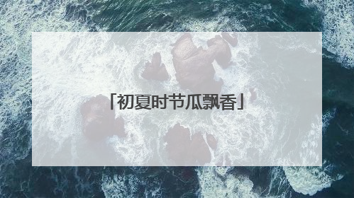 初夏时节瓜飘香