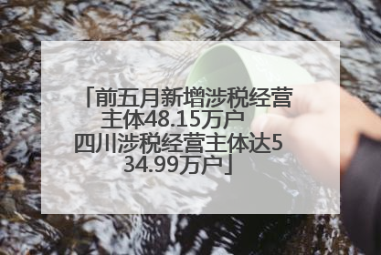 前五月新增涉税经营主体48.15万户 四川涉税经营主体达534.99万户
