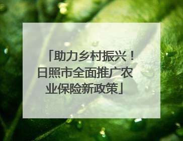 助力乡村振兴！日照市全面推广农业保险新政策