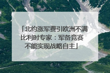 北约涨军费引欧洲不满 比利时专家：军备竞赛不能实现战略自主