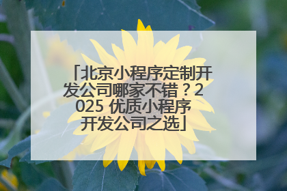北京小程序定制开发公司哪家不错？2025 优质小程序开发公司之选