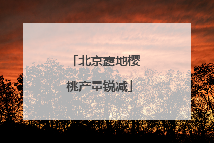 北京露地樱桃产量锐减
