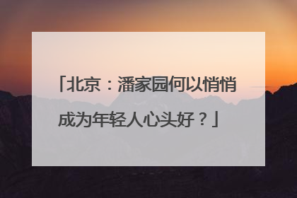北京：潘家园何以悄悄成为年轻人心头好？