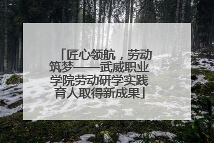 匠心领航，劳动筑梦——武威职业学院劳动研学实践育人取得新成果
