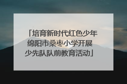 培育新时代红色少年 绵阳市桑枣小学开展少先队队前教育活动