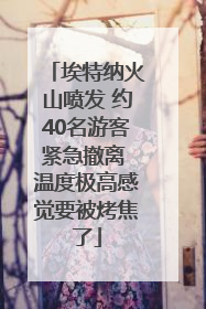 埃特纳火山喷发 约40名游客紧急撤离 温度极高感觉要被烤焦了