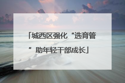 城西区强化“选育管”助年轻干部成长