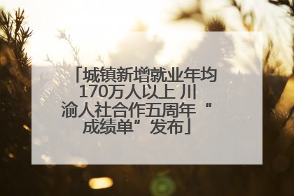 城镇新增就业年均170万人以上 川渝人社合作五周年“成绩单”发布