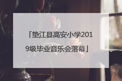 垫江县高安小学2019级毕业音乐会落幕