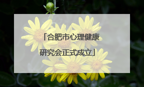 合肥市心理健康研究会正式成立