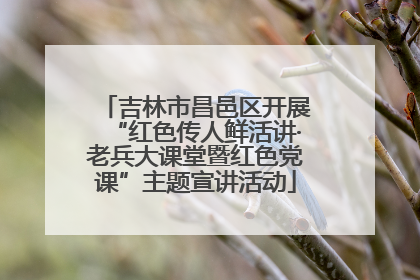 吉林市昌邑区开展“红色传人鲜活讲·老兵大课堂暨红色党课”主题宣讲活动