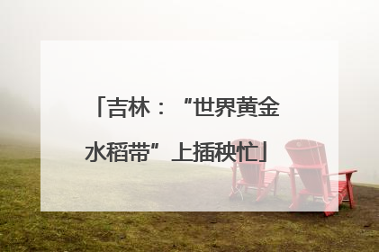 吉林：“世界黄金水稻带”上插秧忙