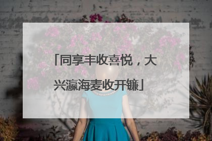 同享丰收喜悦，大兴瀛海麦收开镰