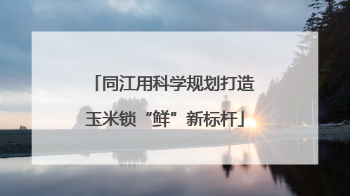 同江用科学规划打造玉米锁“鲜”新标杆