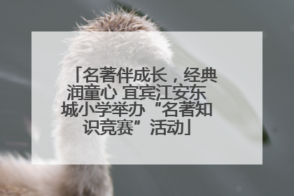名著伴成长，经典润童心 宜宾江安东城小学举办“名著知识竞赛”活动