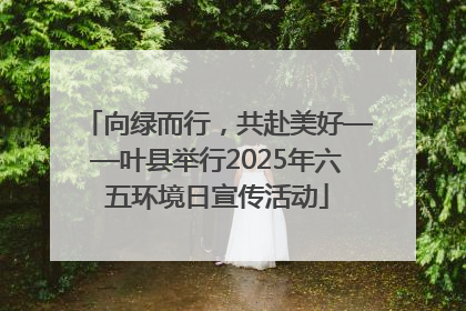 向绿而行，共赴美好——叶县举行2025年六五环境日宣传活动