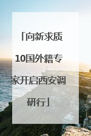 向新求质 10国外籍专家开启西安调研行