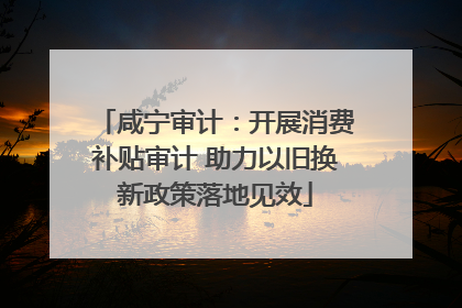 咸宁审计：开展消费补贴审计 助力以旧换新政策落地见效