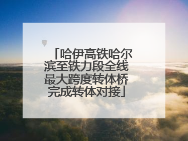 哈伊高铁哈尔滨至铁力段全线最大跨度转体桥完成转体对接