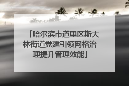 哈尔滨市道里区斯大林街道党建引领网格治理提升管理效能