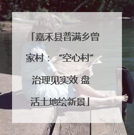 嘉禾县普满乡曾家村：“空心村” 治理见实效 盘活土地绘新景