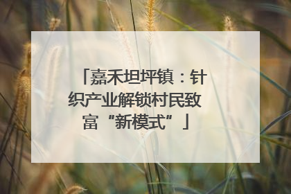嘉禾坦坪镇：针织产业解锁村民致富“新模式”