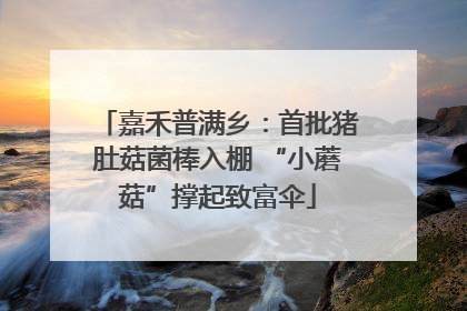 嘉禾普满乡：首批猪肚菇菌棒入棚 “小蘑菇”撑起致富伞