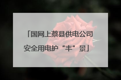 国网上蔡县供电公司安全用电护“丰”景