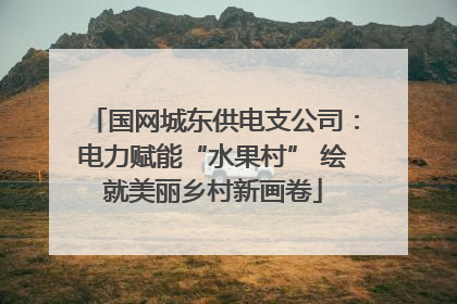 国网城东供电支公司：电力赋能“水果村” 绘就美丽乡村新画卷