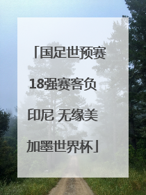 国足世预赛18强赛客负印尼 无缘美加墨世界杯
