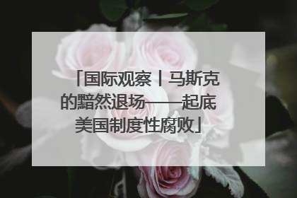 国际观察丨马斯克的黯然退场——起底美国制度性腐败