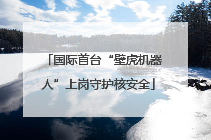 国际首台“壁虎机器人”上岗守护核安全