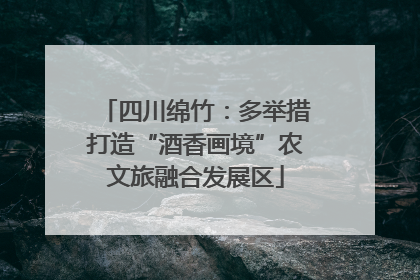 四川绵竹：多举措打造“酒香画境”农文旅融合发展区